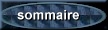 Sommaire