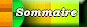Sommaire