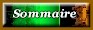Sommaire