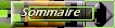 Sommaire