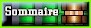 Sommaire
