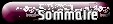 Sommaire 